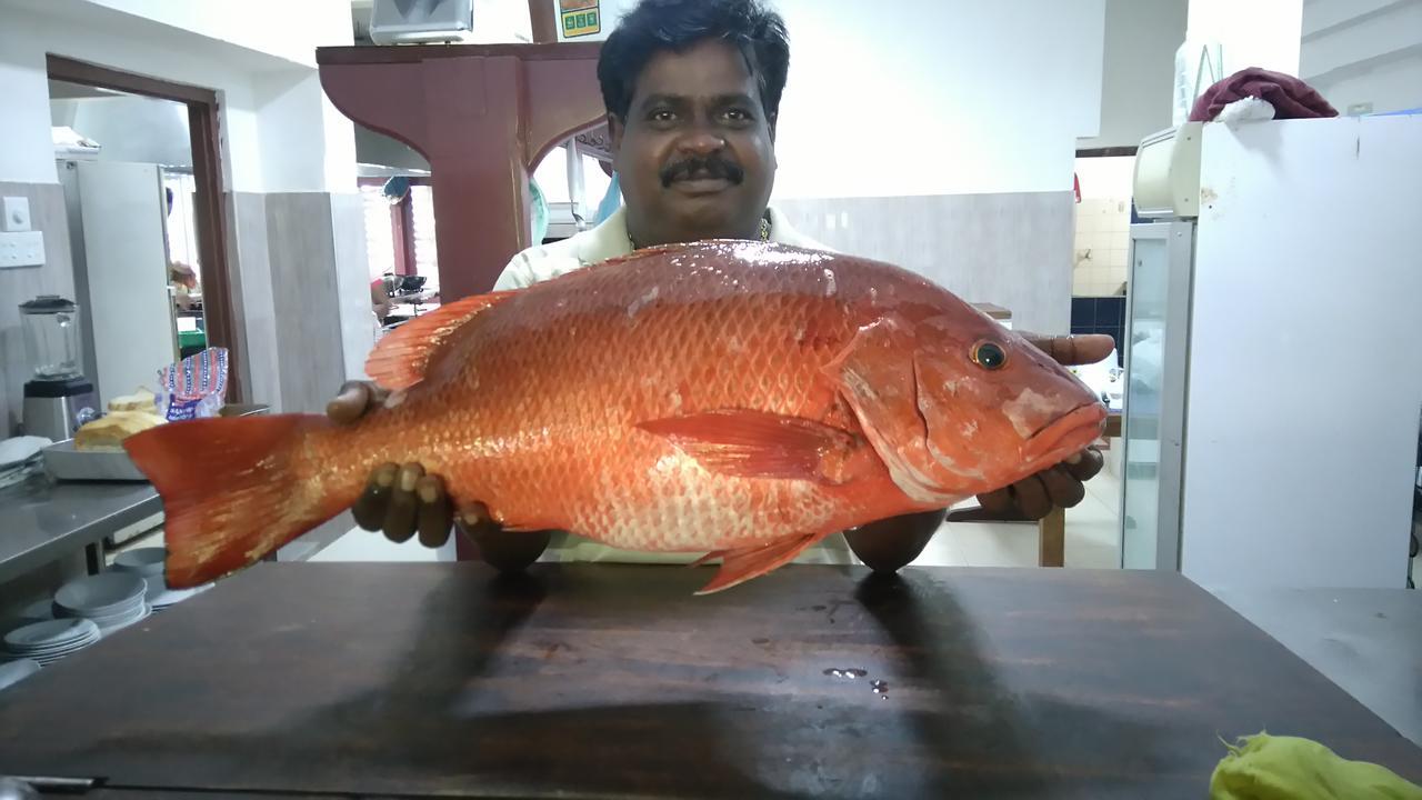 Pahalage Guesthouse Beruwala Eksteriør bilde